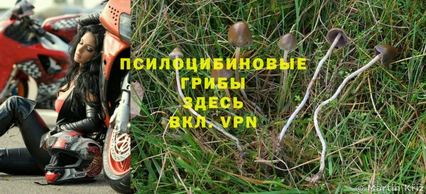 первитин Куйбышев