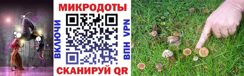 Псилоцибиновые грибы мухоморы  где продают наркотики  Майский 