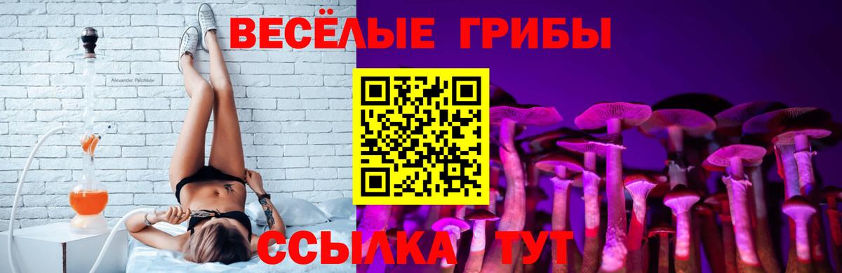 Галлюциногенные грибы мухоморы  Вход с VPN  Майский 